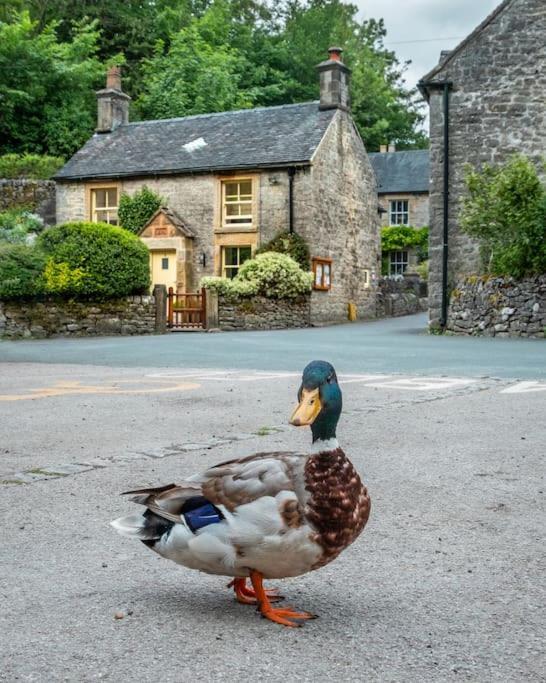 Duck Cottage Milldale Alstonefield Peak District 奥斯顿菲尔德 外观 照片